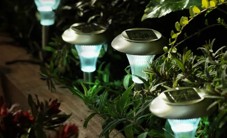 Four small solar lights in a garden at night time