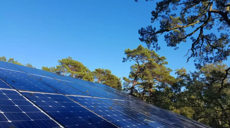 How to Remove Tree Sap from Solar Panels: Cleaning Tips